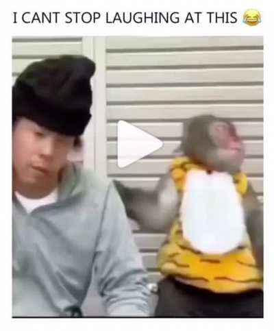 This is NextFuckkkinLevel HILAAARIOUS ????