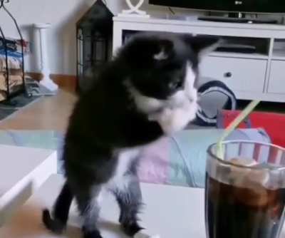 Let me drink!!