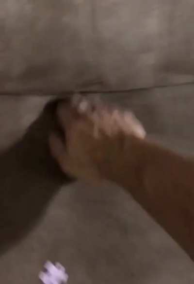 searching a couch