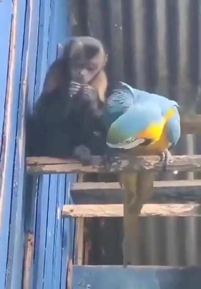 ? & ?