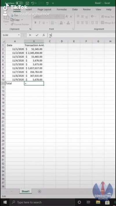 You could say I'm the Michael Scott of Excel