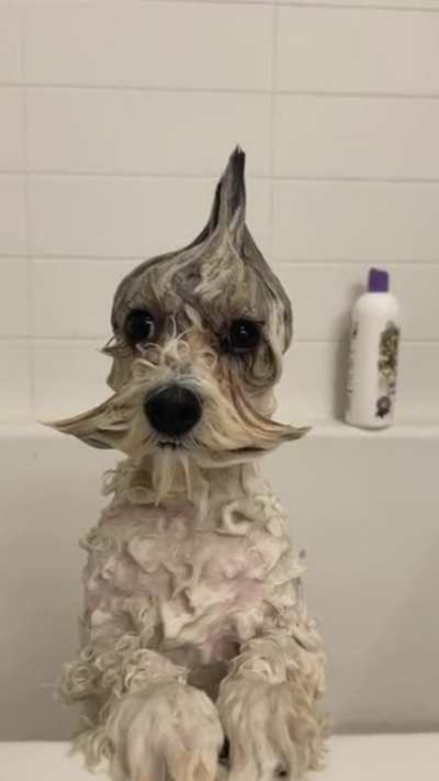 Bath time
