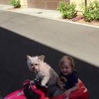 When you're just too young to drive