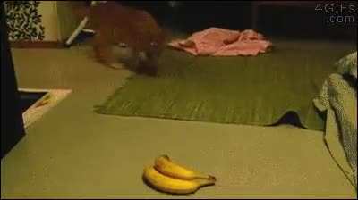 Bananas are scary af.