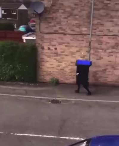 Garbage lives matter