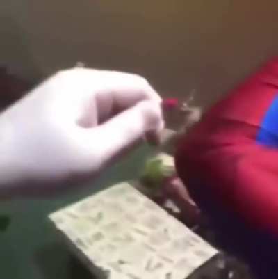 Well, that's him stuck as Spider-Man forever