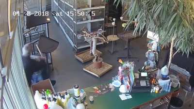 Thief tries to snatch a parrot form the pet shop but instead gets beatdown by 70-year-old owner!
