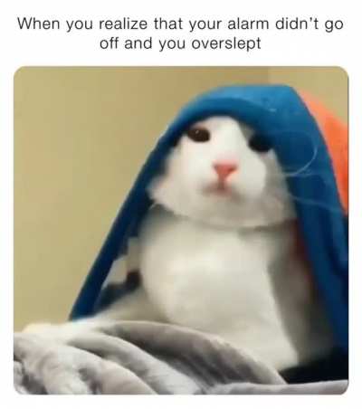 "Wait, I shouldn't feel this relaxed..."