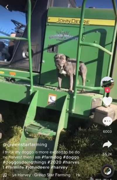 Can I get a OOOOYAAAAH?