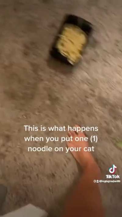 Oh no… our noodle… is broken