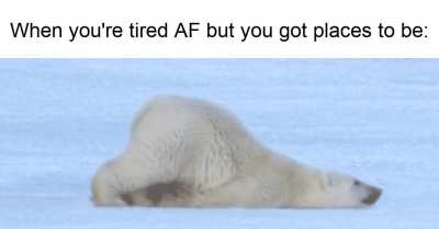 I hate mornings