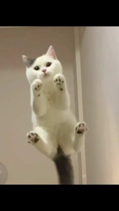Sooo sweet and cute ??