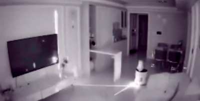 The Surveillance System
