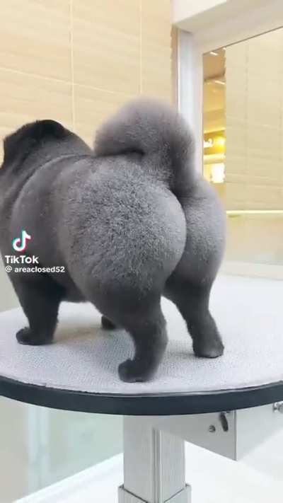 grooming ?