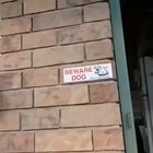 Beware of dog
