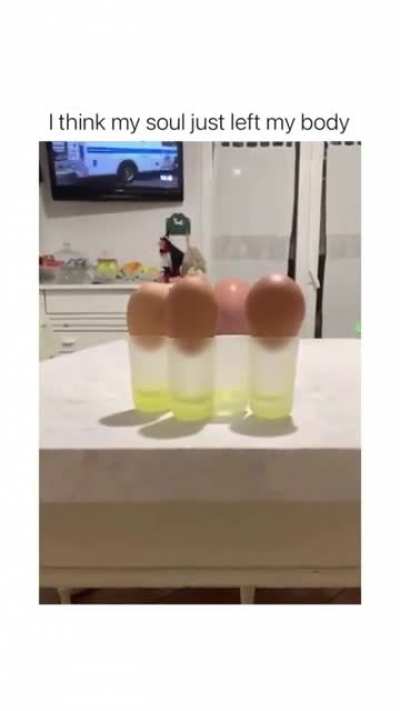 Eggs
