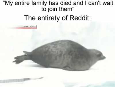 Happy seal noises