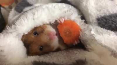 Blanket & chill, 90% of us in quarantine ?