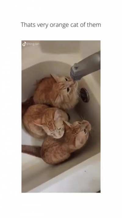 Remember to water your ?s regularly