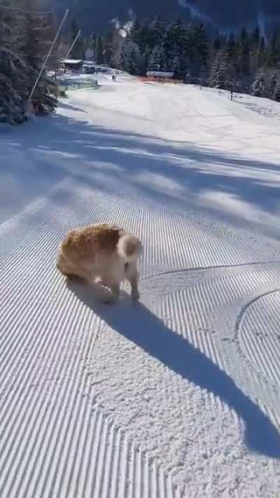 Weeeeeeeeee