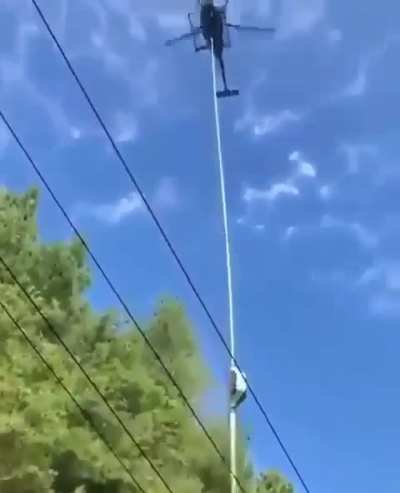 Tree pruning near high voltage power lines requires a lot of precision ?‍?
