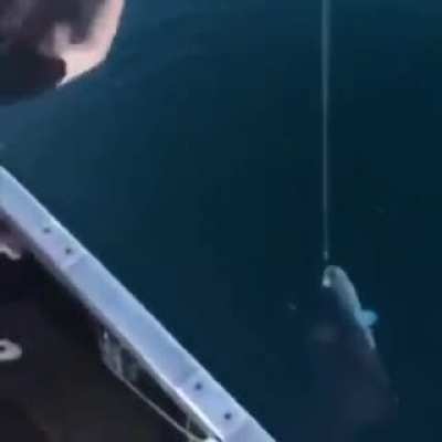 A very unique way to pull out fish