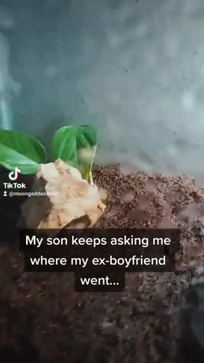 ????
