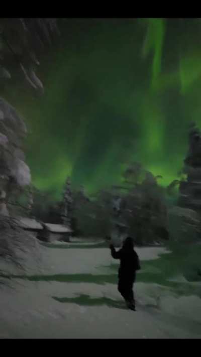 ? A walk in the Magic Kingdom [Ranua, Finnish Lapland][Jari Romppainen]