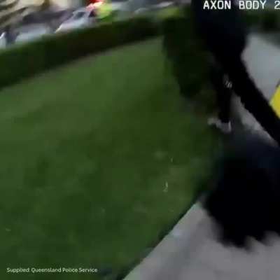 Run idiot run!