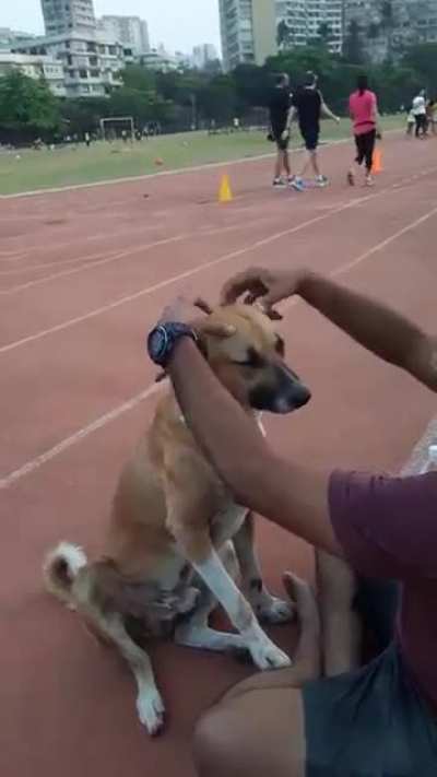 Athlete pampers a street dog