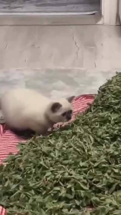 Unexpected