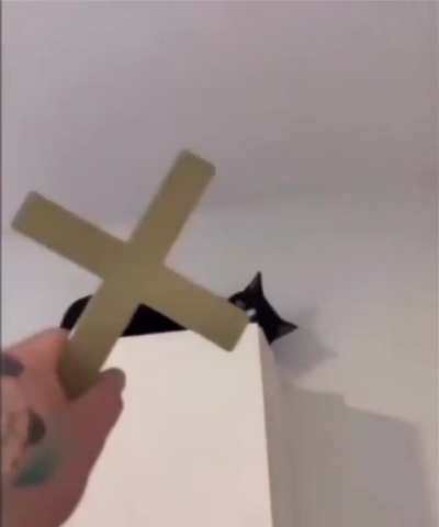 Dog said: "I knew it"