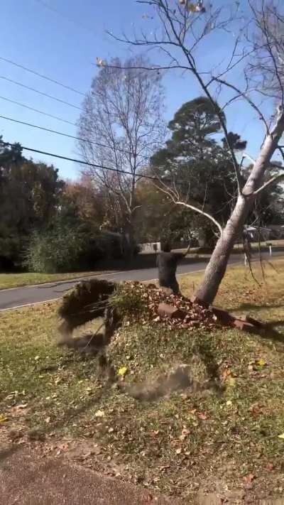 Maybe Maybe Maybe