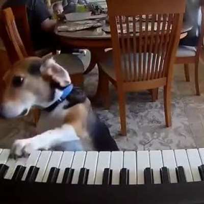 Johann Sebastian Bark