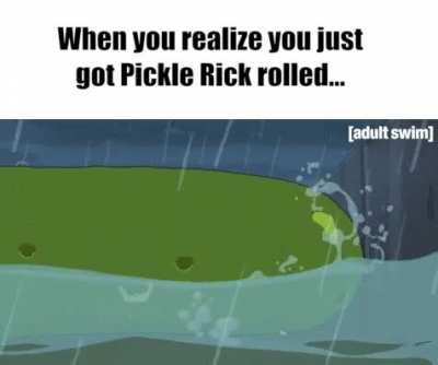 Funniest shit I've ever seen