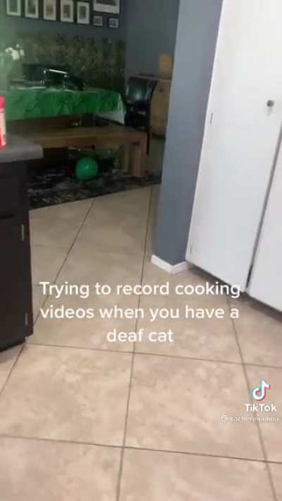 She put some growl in the second one