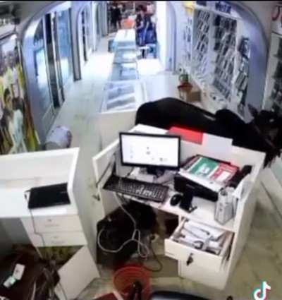 Modern version of "Bull in a China shop" - Bull in an electronics store