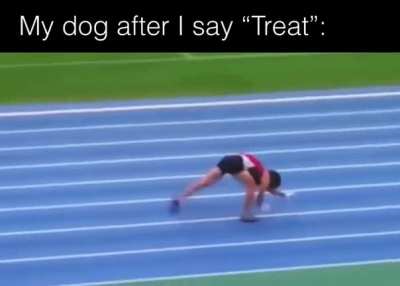 Sit. Good boy!
