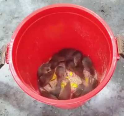 Maybe Maybe Maybe
