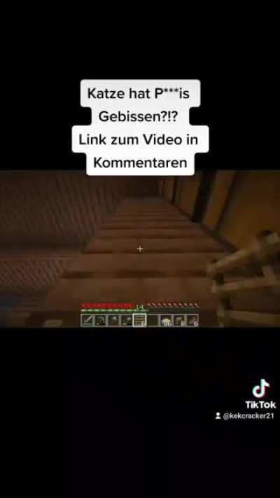 German Youtuber Tells Story how a Cat bit his Di*k. Full link in comments.
