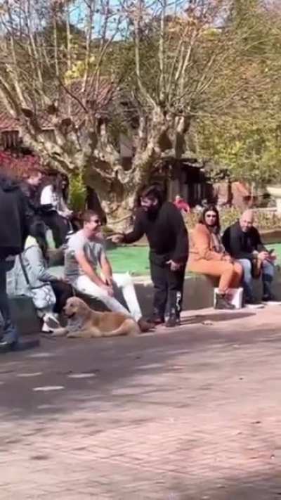"Oh, how cute! Can I pet him?"