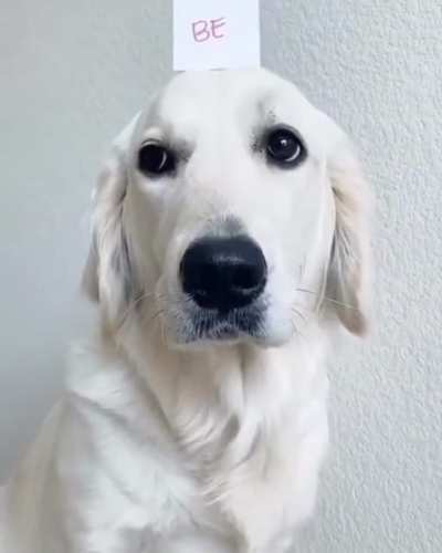 will you my VALENTINE? ?