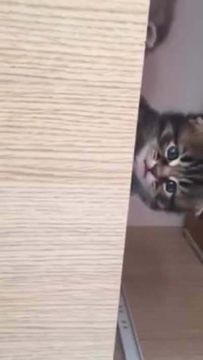 ??