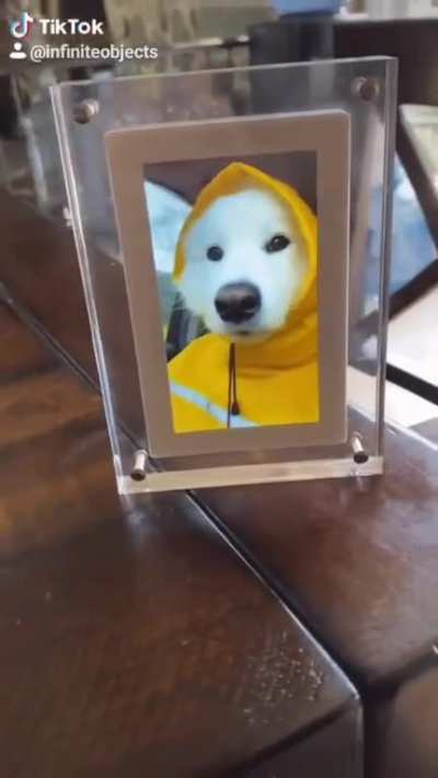 I can't stop watching this