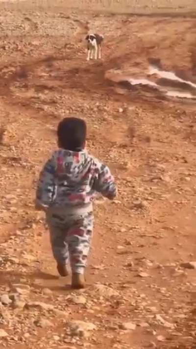 To assert dominance