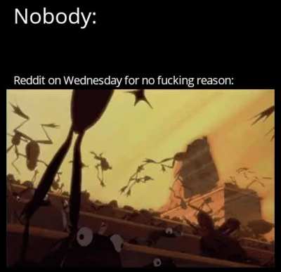 Coming on Thursday: locusts
