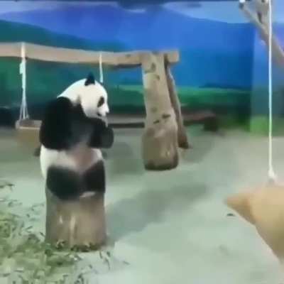 To hit the bag