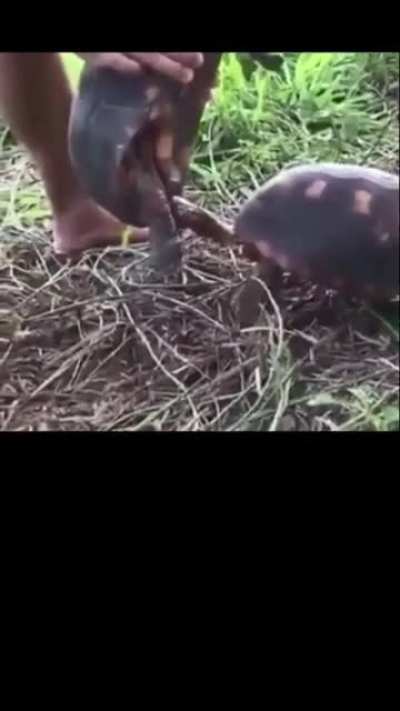 No wonder they’re so slow