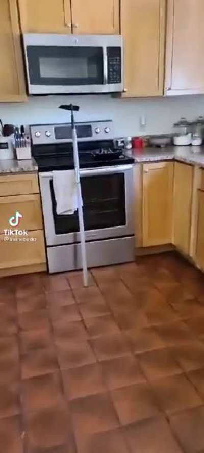 Not the sharpest tool in the shed