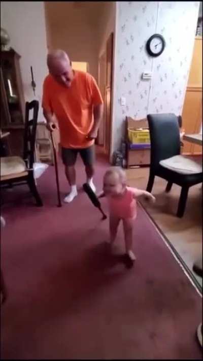 Baby imitates her grandpa’s walk with a cane, ??